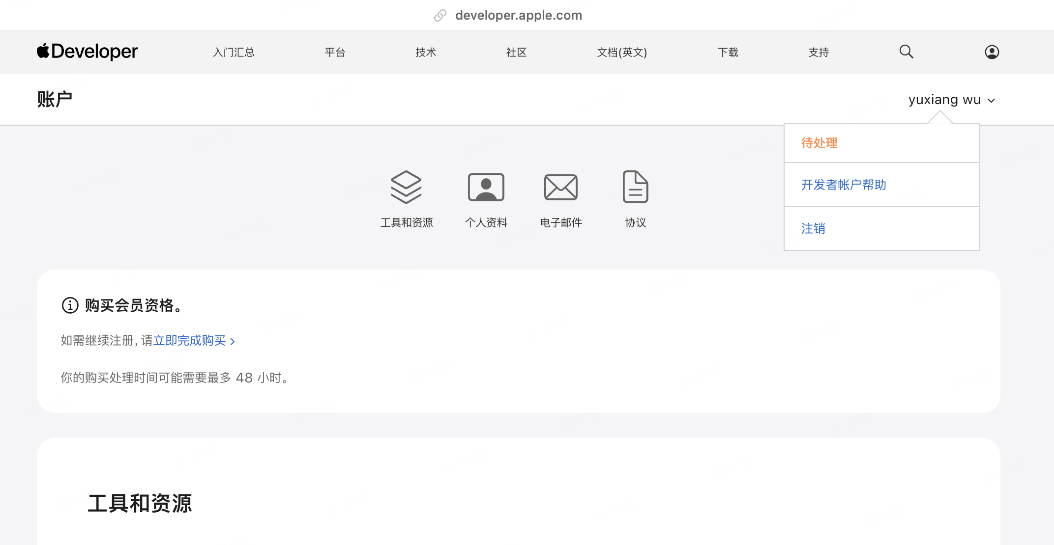 Apple Developer 账户页面显示待处理状态