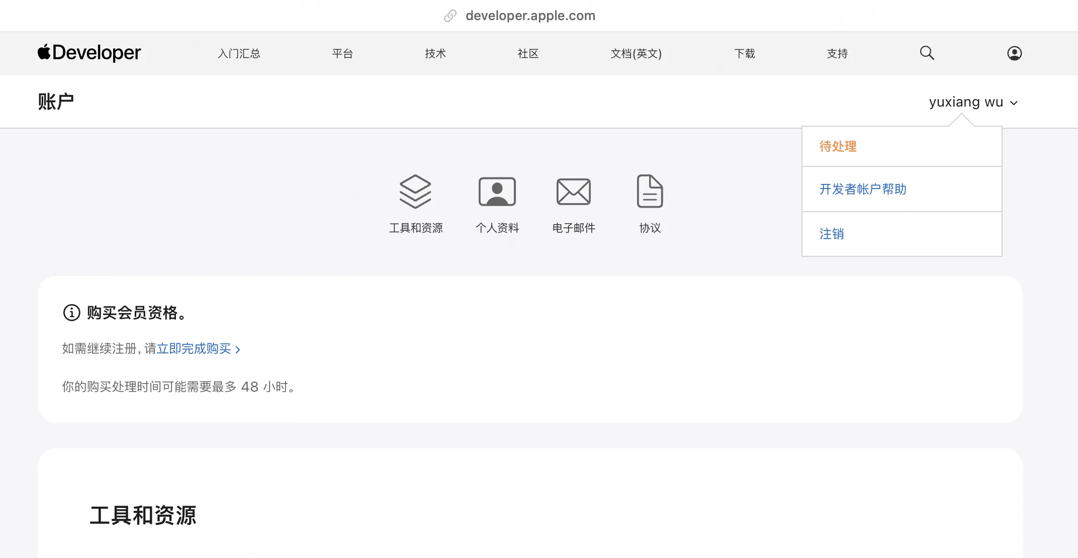Apple Developer 账户页面显示待处理状态