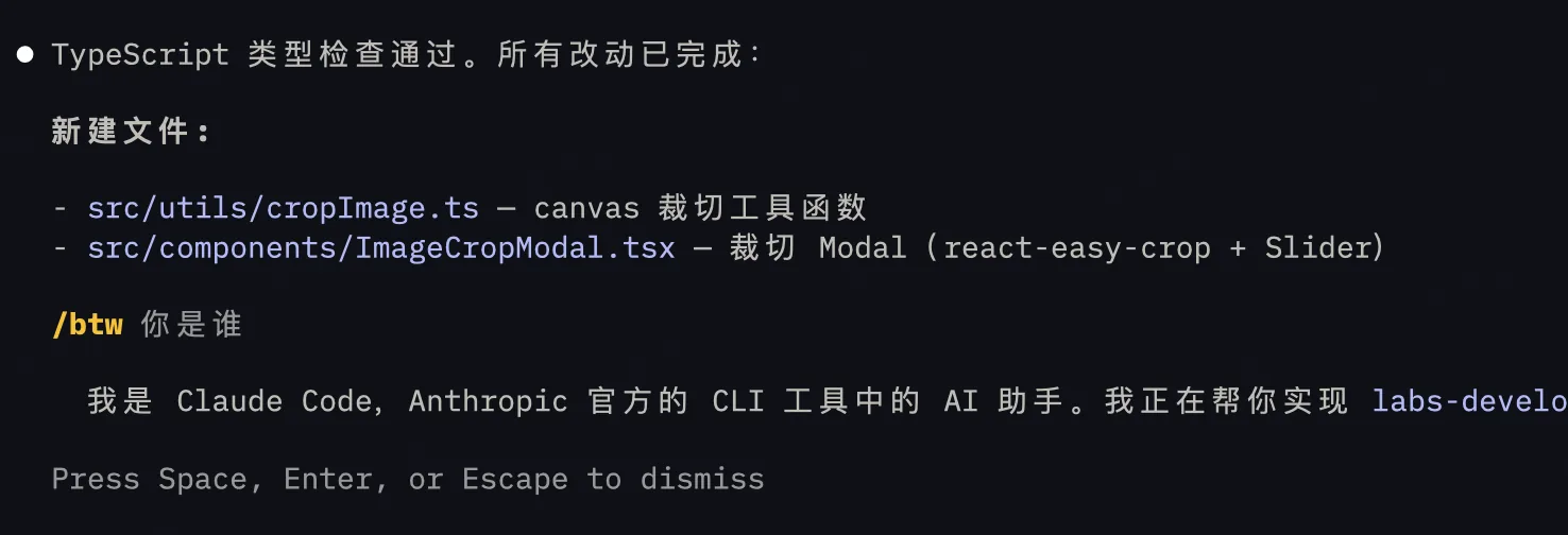 /btw 命令示例